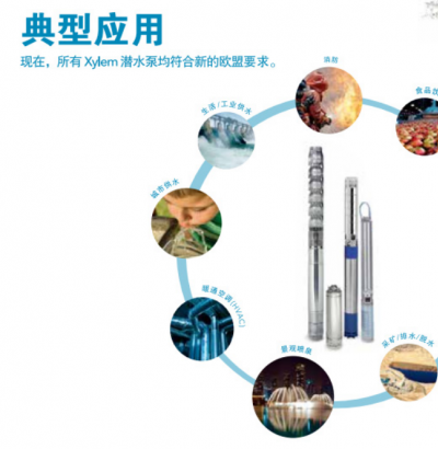 Lowara 潛水深井泵Borehole系列 